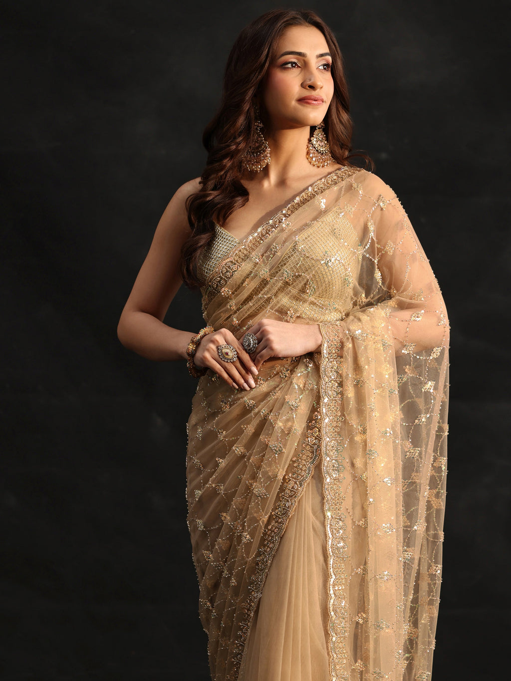 Gold Stone Embellished Net Saree
